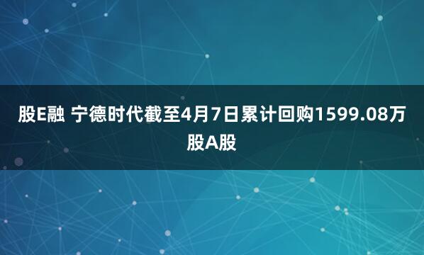股E融 宁德时代截至4月7日累计回购1599.08万股A股